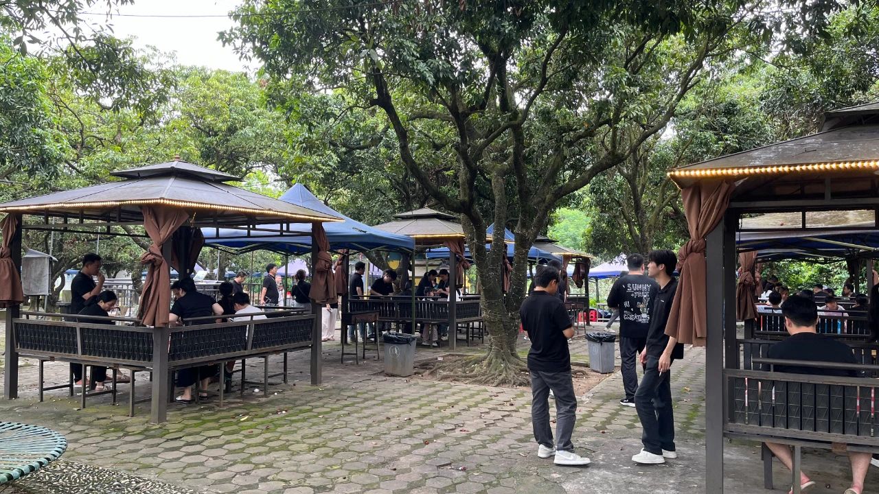 b379fc6e-300d-4d89-a111-cb5f0ff70085.jpg